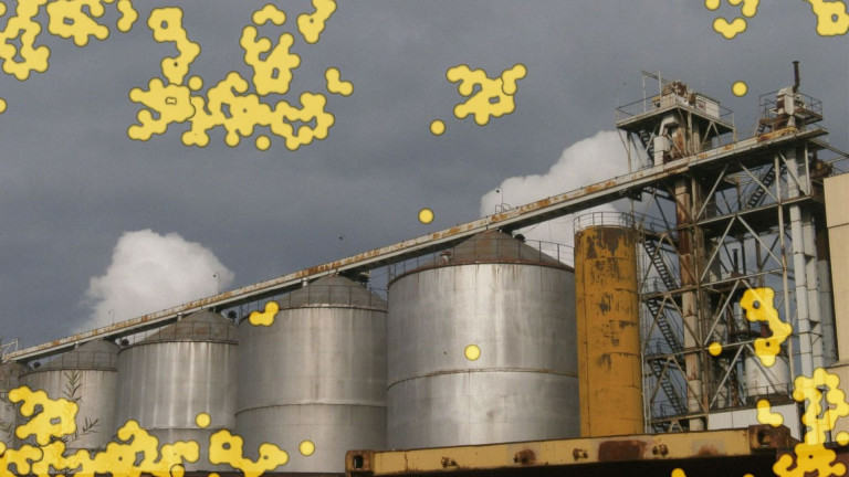 Copertina di "Catalisi II"